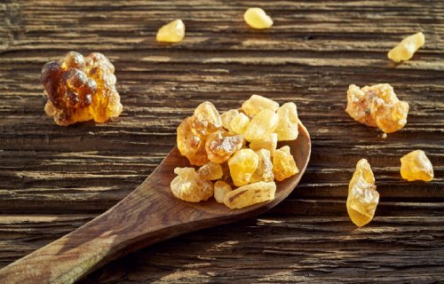 บอสเวลเลีย Boswellia